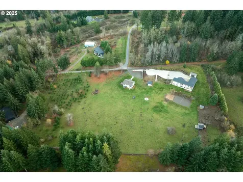 3900 NE 425th Street Woodland WA 98674