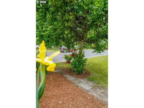 404 SW 6th Street Corvallis OR 97333