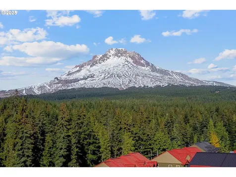 87926 E Alpenglow Lane Government Camp OR 97028
