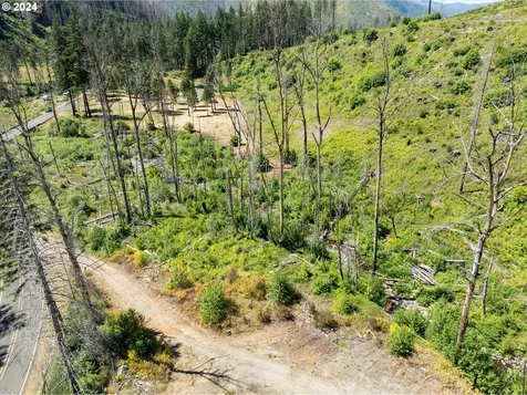 Blue River Road Eugene OR 97401