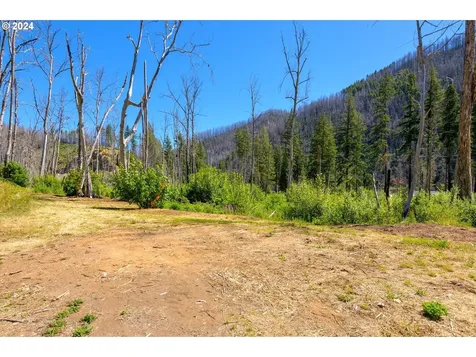 Blue River Road Eugene OR 97401