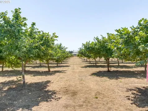 3491 NE Hawn Creek Road Mcminnville OR 97128
