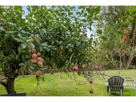 54124 Old Broadbent Road Myrtle Point OR 97458