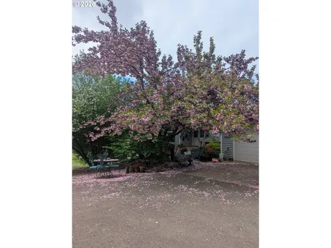 26423 S Beavercreek Road Beavercreek OR 97004
