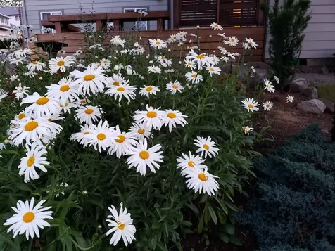 337 SW 27th Way Troutdale OR 97060