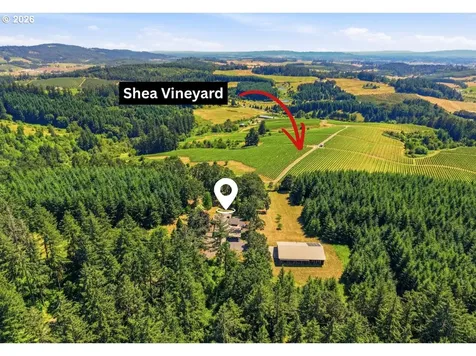 17340 NE Woodland Loop Road Yamhill OR 97148