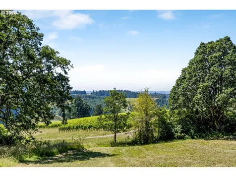 17340 NE Woodland Loop Road Yamhill OR 97148