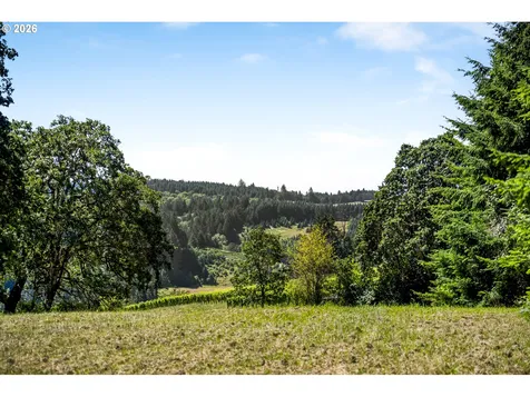 17340 NE Woodland Loop Road Yamhill OR 97148
