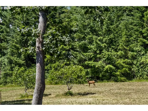 17340 NE Woodland Loop Road Yamhill OR 97148