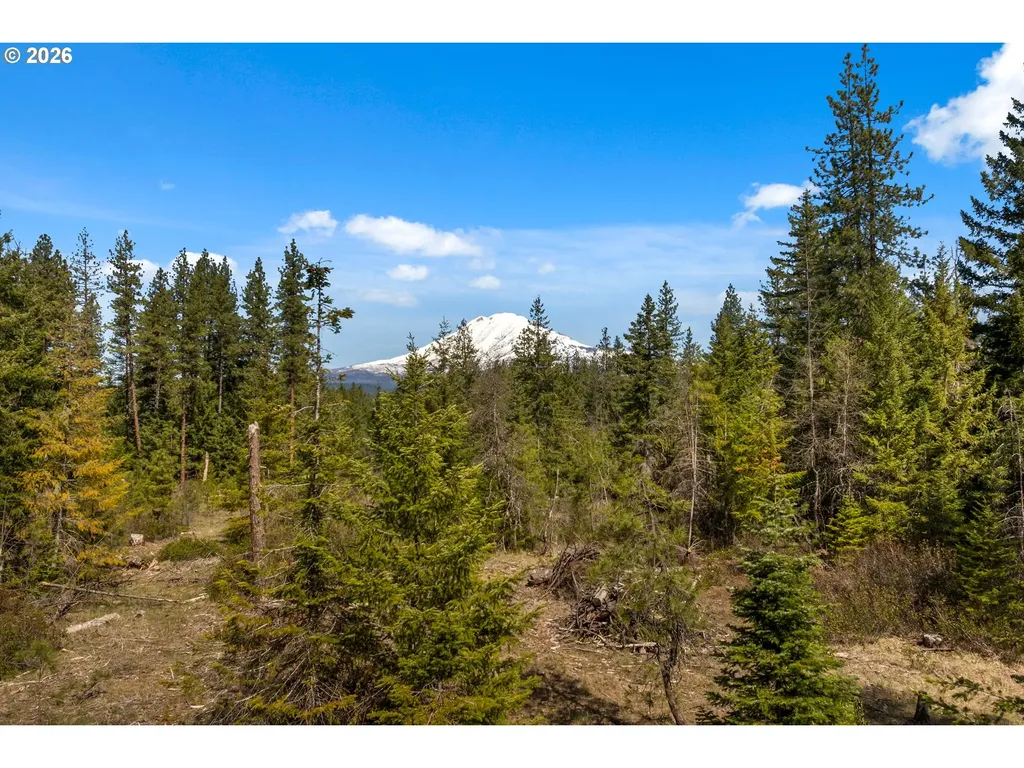 Lonesome Pines Drive Trout Lake WA 98650