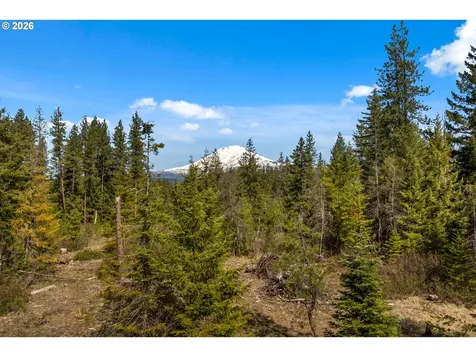 Lonesome Pines Drive Trout Lake WA 98650