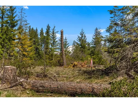 Lonesome Pines Drive Trout Lake WA 98650