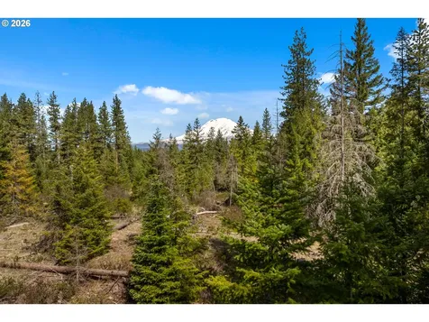 Lonesome Pines Drive Trout Lake WA 98650
