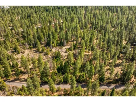 Lonesome Pines Drive Trout Lake WA 98650
