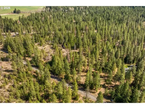 Lonesome Pines Drive Trout Lake WA 98650