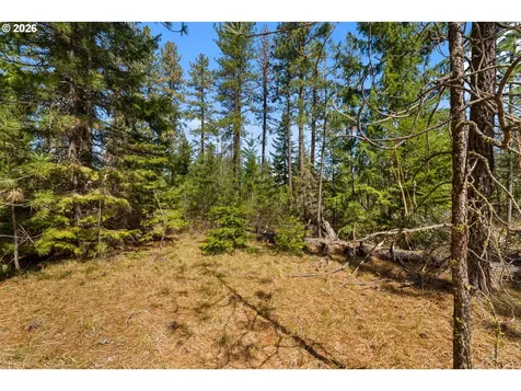 Lonesome Pines Drive Trout Lake WA 98650
