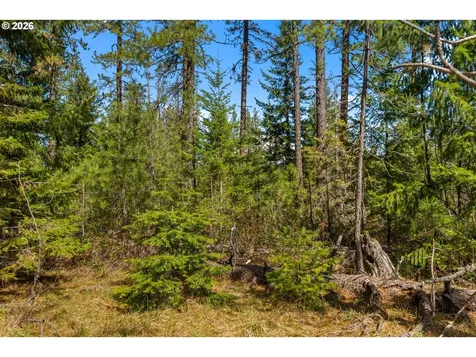 Lonesome Pines Drive Trout Lake WA 98650