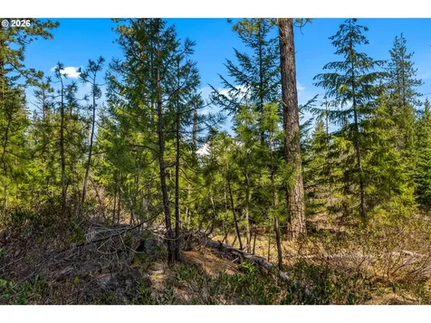 Lonesome Pines Drive Trout Lake WA 98650