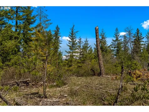 Lonesome Pines Drive Trout Lake WA 98650