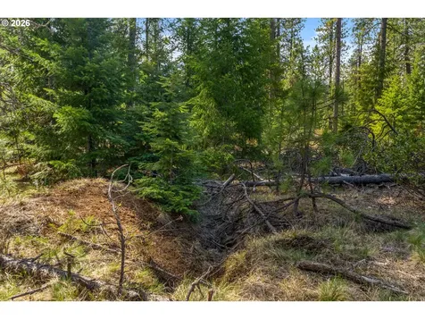 Lonesome Pines Drive Trout Lake WA 98650
