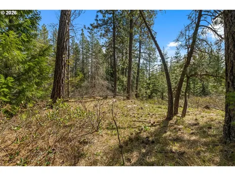 Lonesome Pines Drive Trout Lake WA 98650