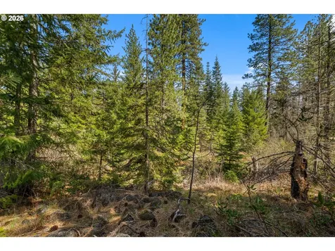 Lonesome Pines Drive Trout Lake WA 98650