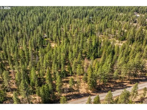 Lonesome Pines Drive Trout Lake WA 98650