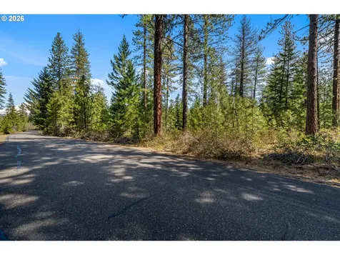 Lonesome Pines Drive Trout Lake WA 98650
