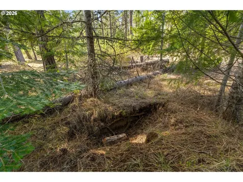Lonesome Pines Drive Trout Lake WA 98650