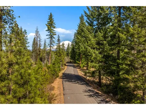 Lonesome Pines Drive Trout Lake WA 98650