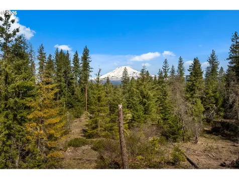 Lonesome Pines Drive Trout Lake WA 98650