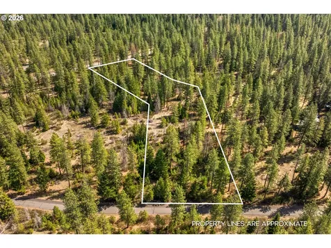 Lonesome Pines Drive Trout Lake WA 98650