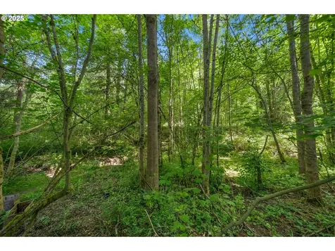 16693 NW Oakridge Drive Portland OR 97229