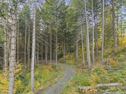 Warren Road North Bonneville WA 98639