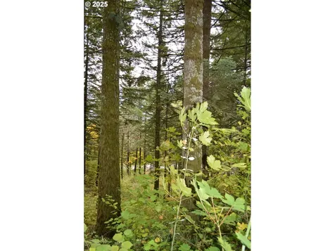 Warren Road North Bonneville WA 98639