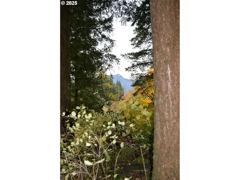 Warren Road North Bonneville WA 98639