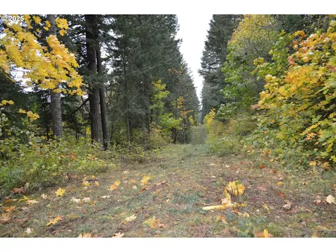 Warren Road North Bonneville WA 98639