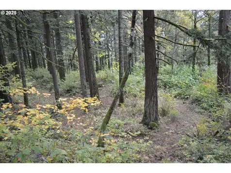 Warren Road North Bonneville WA 98639