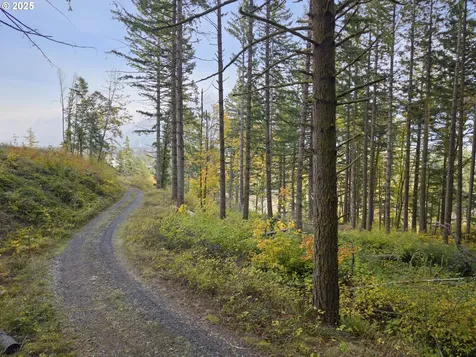 Warren Road North Bonneville WA 98639