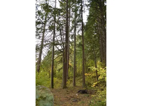 Warren Road North Bonneville WA 98639