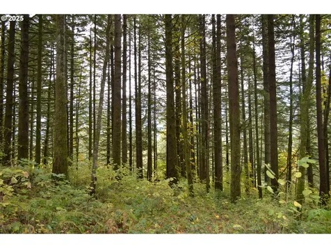 Warren Road North Bonneville WA 98639