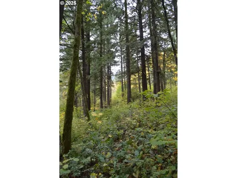 Warren Road North Bonneville WA 98639