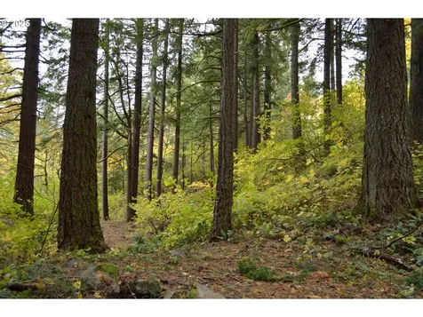 Warren Road North Bonneville WA 98639