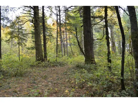 Warren Road North Bonneville WA 98639