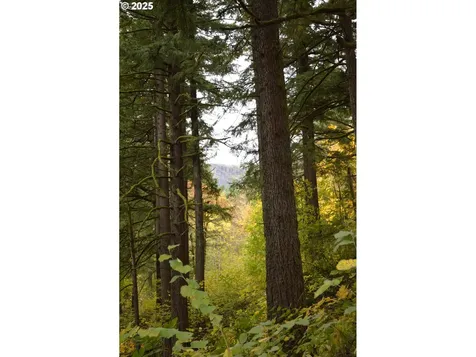 Warren Road North Bonneville WA 98639
