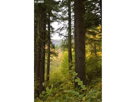 Warren Road North Bonneville WA 98639