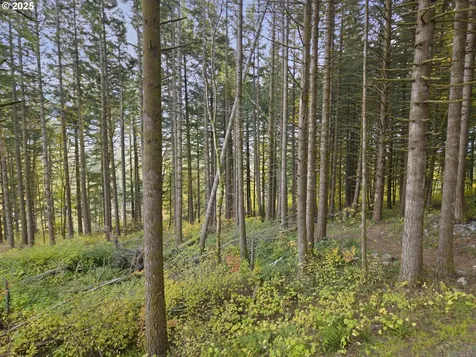 Warren Road North Bonneville WA 98639
