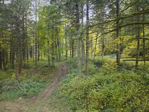 Warren Road North Bonneville WA 98639
