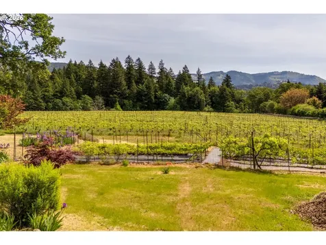 391 Newell Road Underwood WA 98651