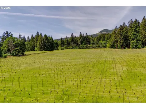 391 Newell Road Underwood WA 98651